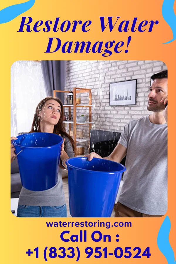water restoration Western Water Mitigation & Associates Catonsville